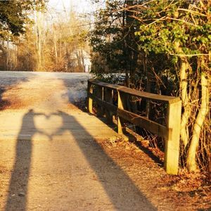 11x14 Satin Finish Original Nature Photography Of Couple Silhouette Making Heart